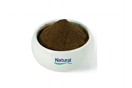 Ashwagandhaエキス: 効果的なコルチゾールレギュレータ