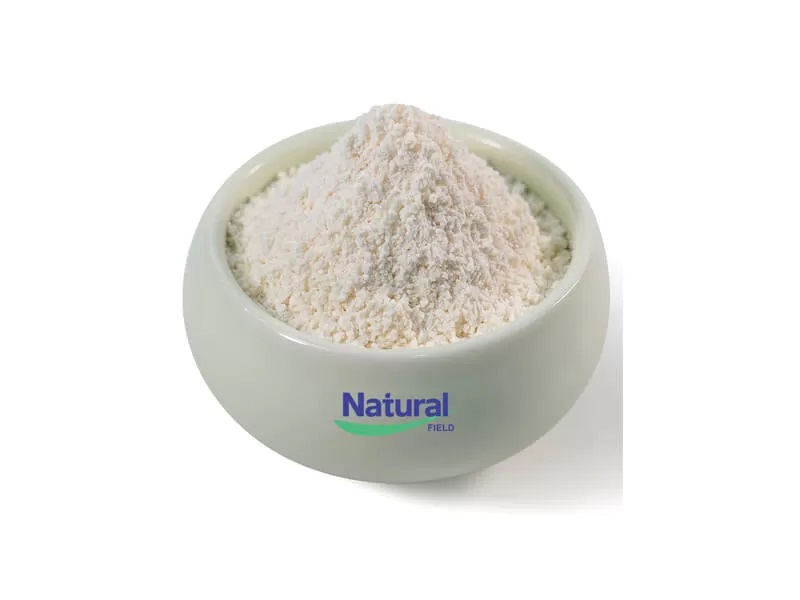 グルタチオンリポソームの利点: 通常のGSHよりも優れている理由