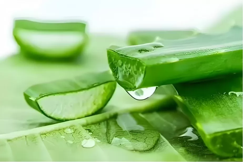 What is aloin? What is aloin?