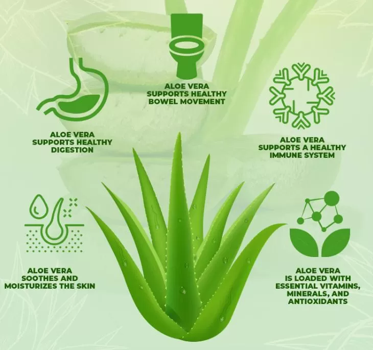 What are the benefits of Aloin? What are the benefits of Aloin?