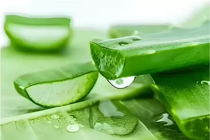 アロインの绍介