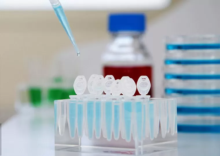 原材料スクリーン