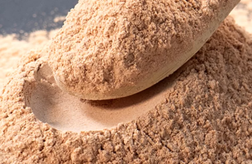 緑茶エキスの特徴