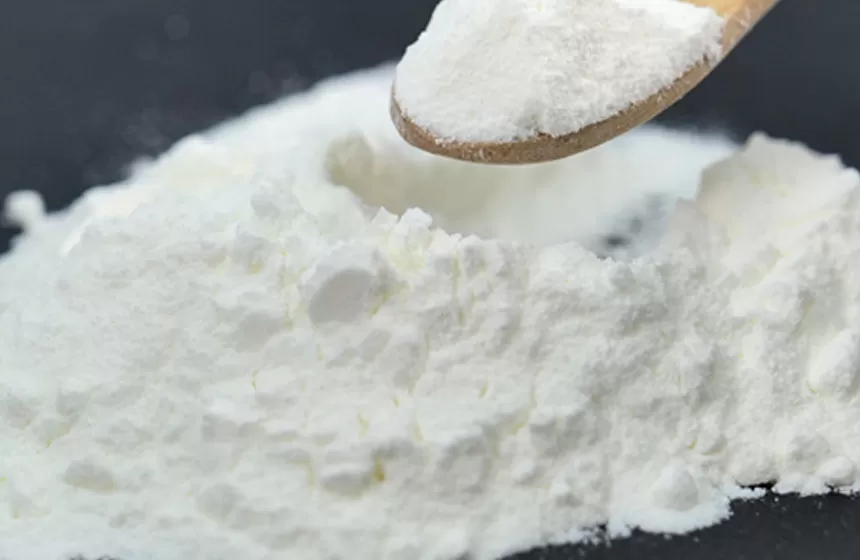 アクションプロバイオティクス粉末のメカニズム