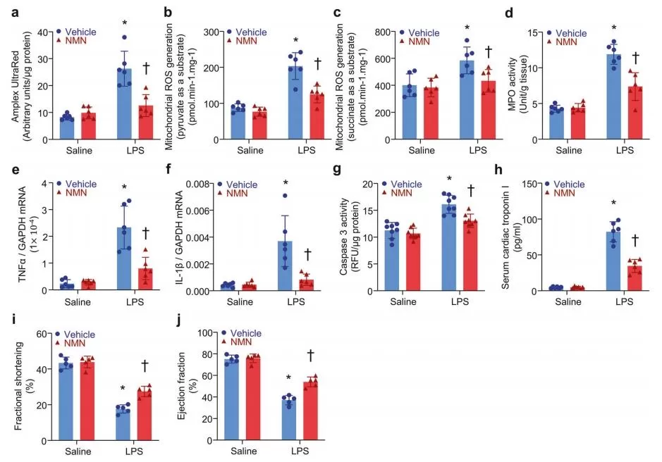 Effects of NMN on Cardiac Injury in Endotoxemia Mice