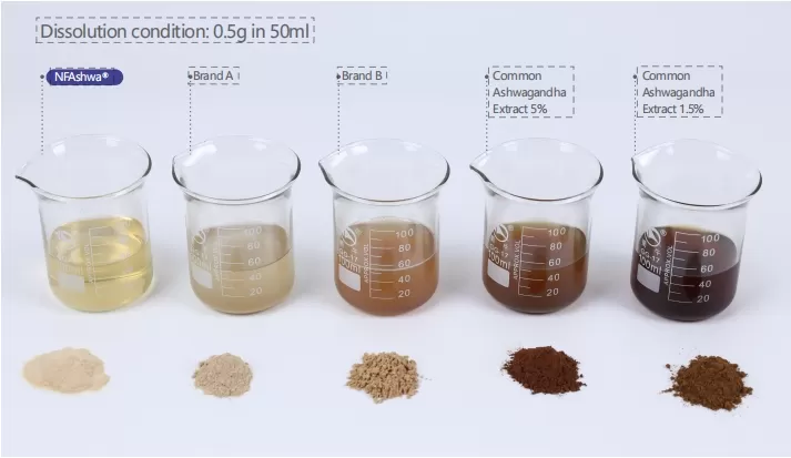 国民の呼びかけへの対応: 人間の健康に焦点を当てる!