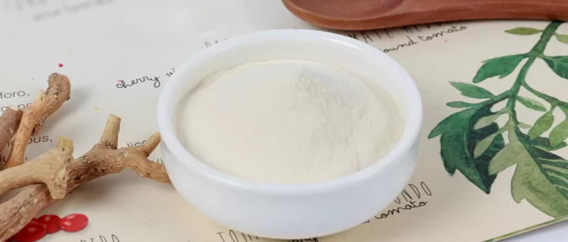 2025天然成分 & 健康製品イノベーションフォーラム発表 2025天然成分 & 健康製品イノベーションフォーラム発表