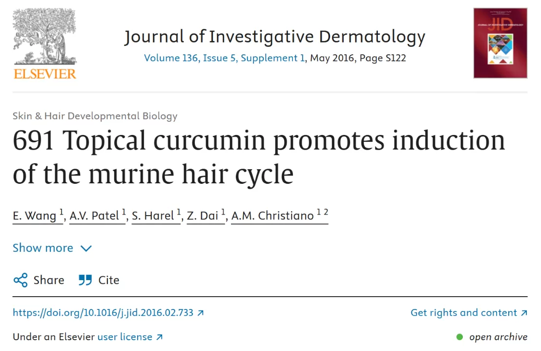Curcumin Enters the Hair Loss Prevention Market Curcumin Enters the Hair Loss Prevention Market