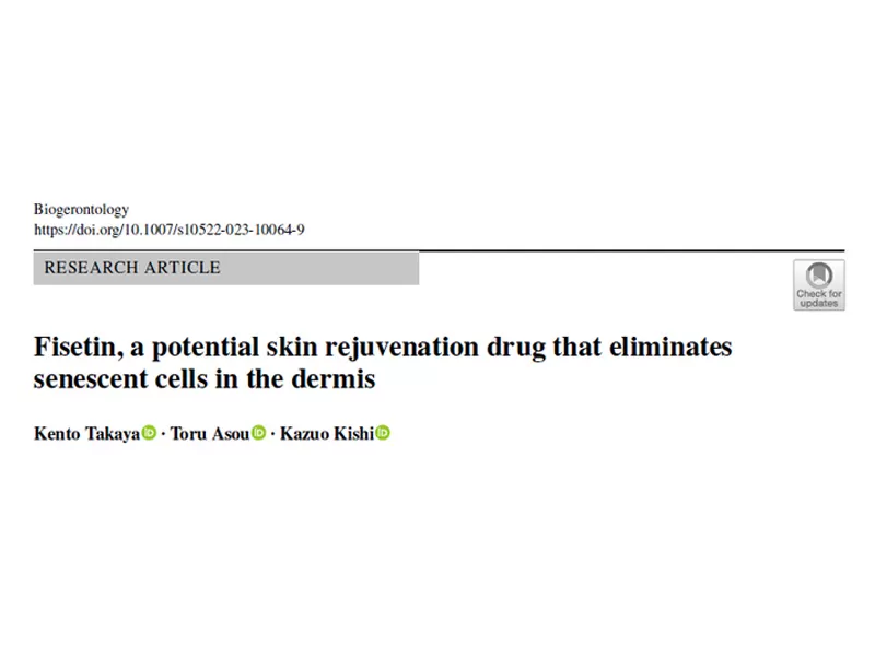 フィセチン: 皮膚層の老化細胞の標的除去、皮膚アンチエイジングの新しい可能性のロックを解除