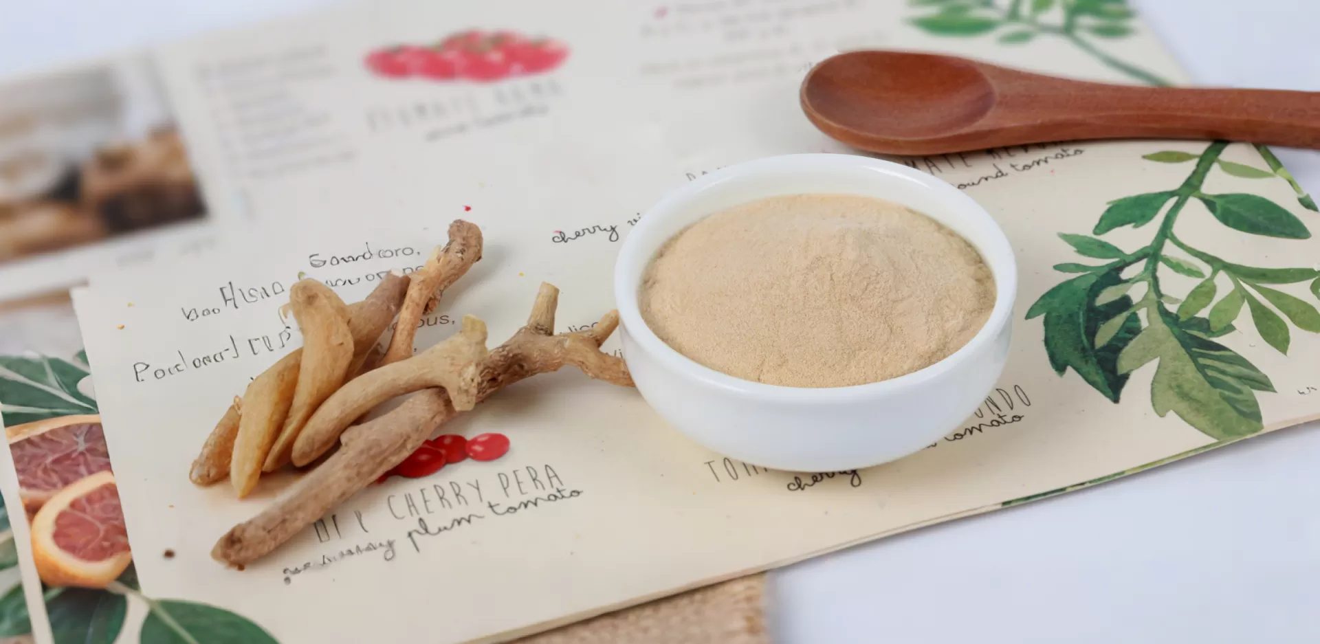 自然フィールド