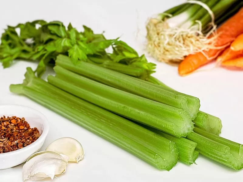 食事性フラボノイドアピゲニンに関する新しい発見: アンチエイジングメカニズムの突破口、多機能健康保護