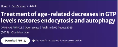 Niacinamide and Green Tea Polyphenols