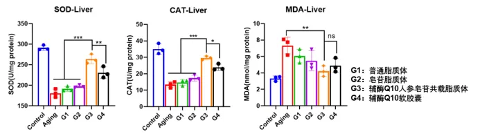 Compelling Results in the Natural Aging Model