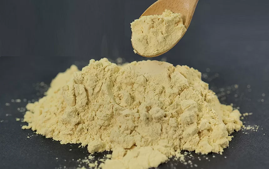 健康で元気を保つ秘訣: 免疫力を高める