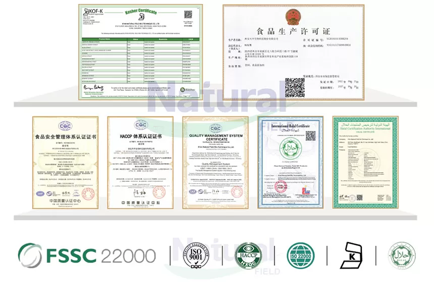 なぜあなたのクレアチン一水和物粉末サプライヤーとして自然畑を選ぶのですか?