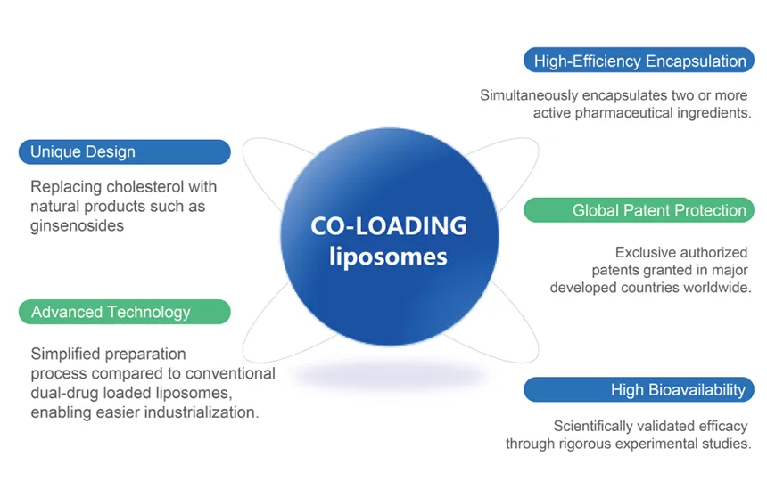 Co-loading Liposomesのプラットホームの利点