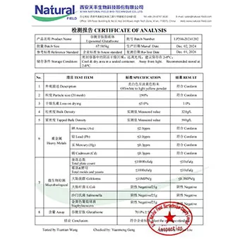 NF-COAグルタチオンリポソーム70%