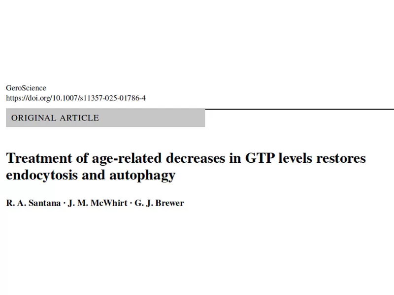 最新の研究このビタミン緑茶化合物は脳細胞のエネルギーレベルを急速に回復させることができます