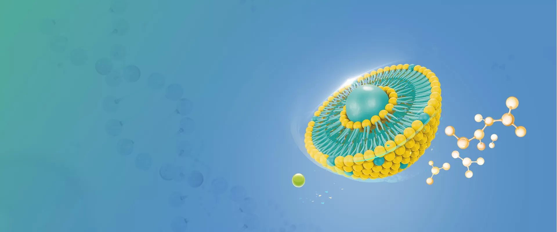 リポソーム成分