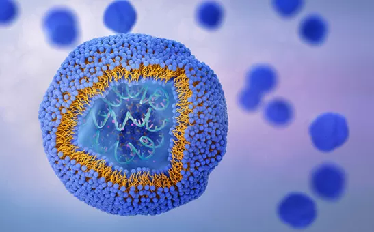 英国のトップ10リポソームメーカー