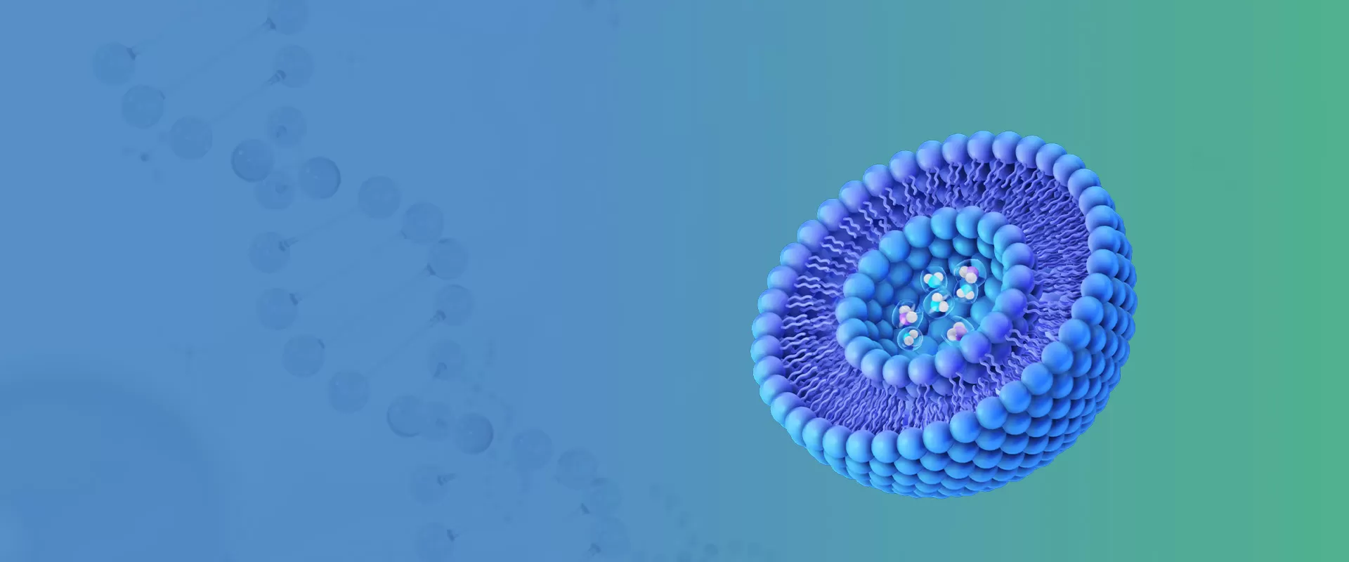 Liposomalニュース