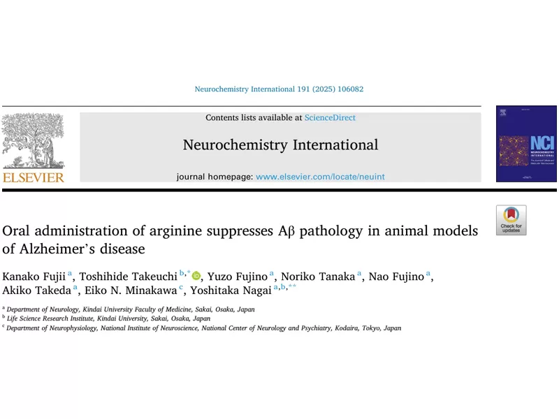 安全で効果的な脳の健康成分をお探しですか? アルギニン: 科学に裏打ちされ、費用対効果があり、コア製品の痛みのポイントを解決します!