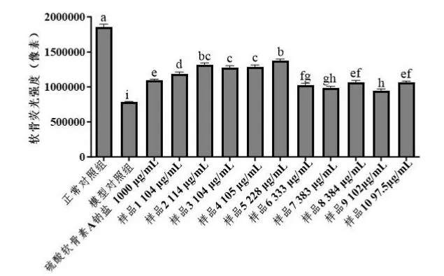 new-research-highlights-the-potential-of-co-loaded-glucosamine-chondroitin-liposomes-for-joint-health-applications-1.jpg