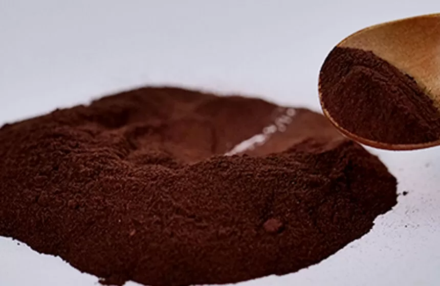 Pygeum Africanum extract manufacturer Pygeum Africanum extract manufacturer