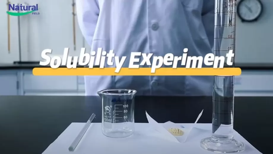 NF Ashwa Ashwagandhaエキスパウダーの溶解性実験